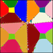 Mosaic Polynomiograph